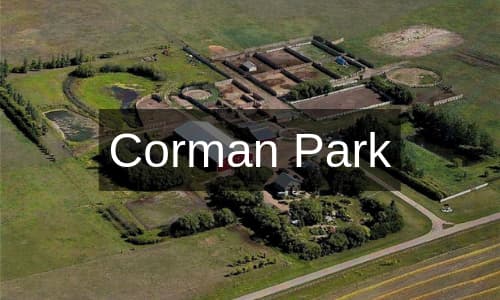 Corman Park Real Estate